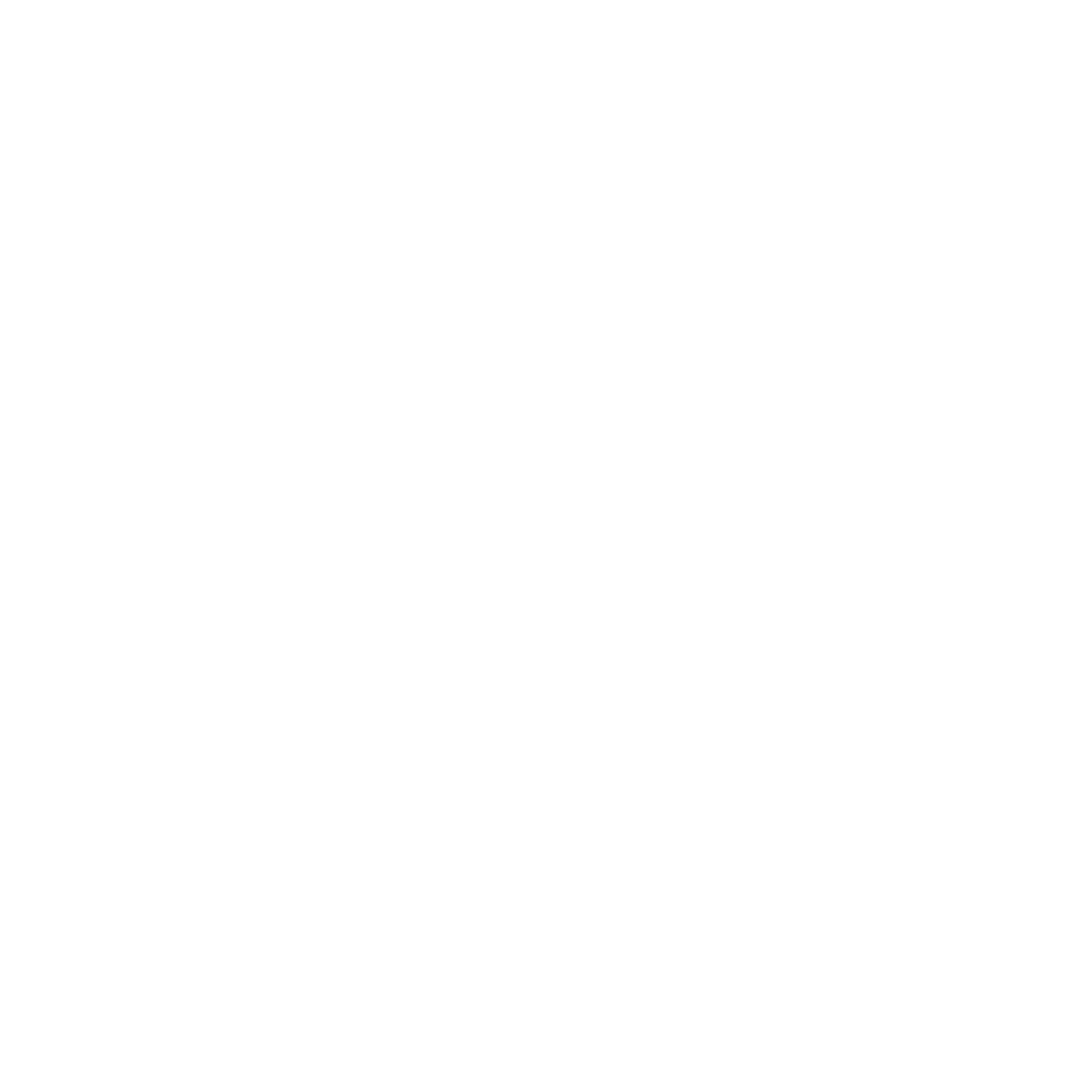 FH Tempo